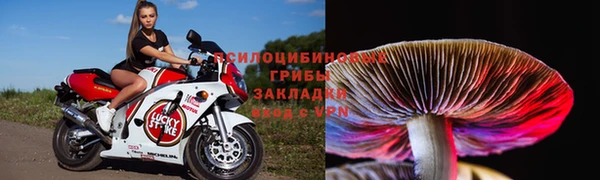 спиды Бронницы