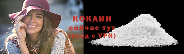 стафф Ростов