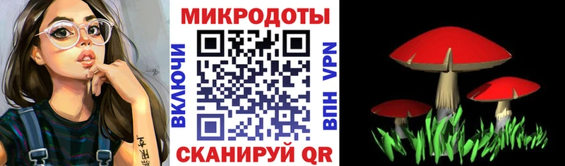 Галлюциногенные грибы Psilocybine cubensis Катайск