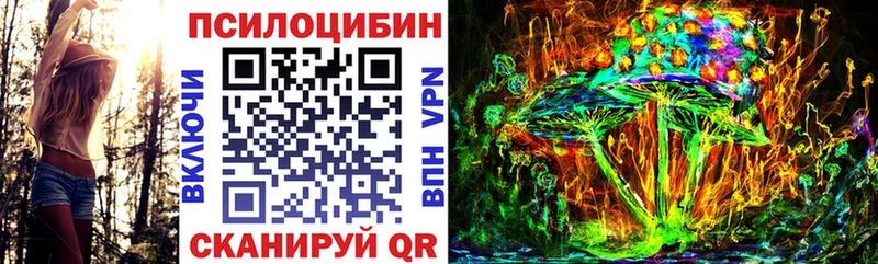 Галлюциногенные грибы прущие грибы  где купить   Катайск 